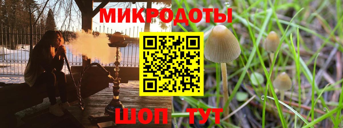 купить   Псилоцибиновые грибы Psilocybe  Вход с VPN  Лабытнанги  Псилоцибиновые грибы GOLDEN TEACHER 